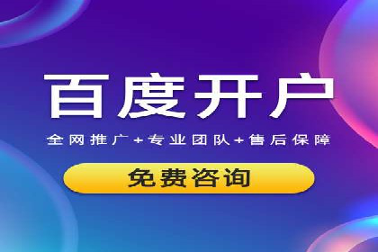 网络推广竞价策略案例分析